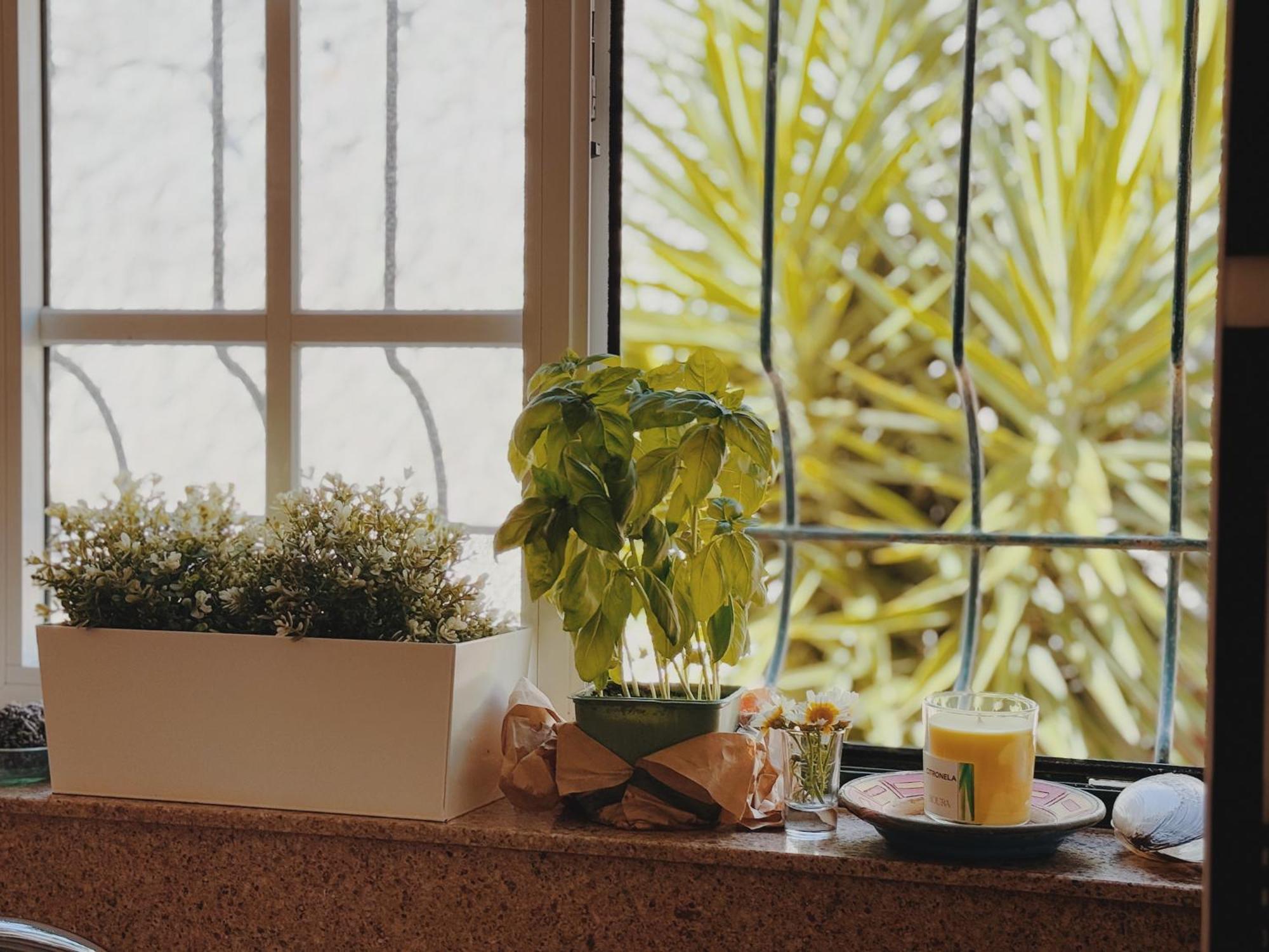Coastal Garden Paradise Retreat- 6 Min From The Beach Charneca  Ngoại thất bức ảnh